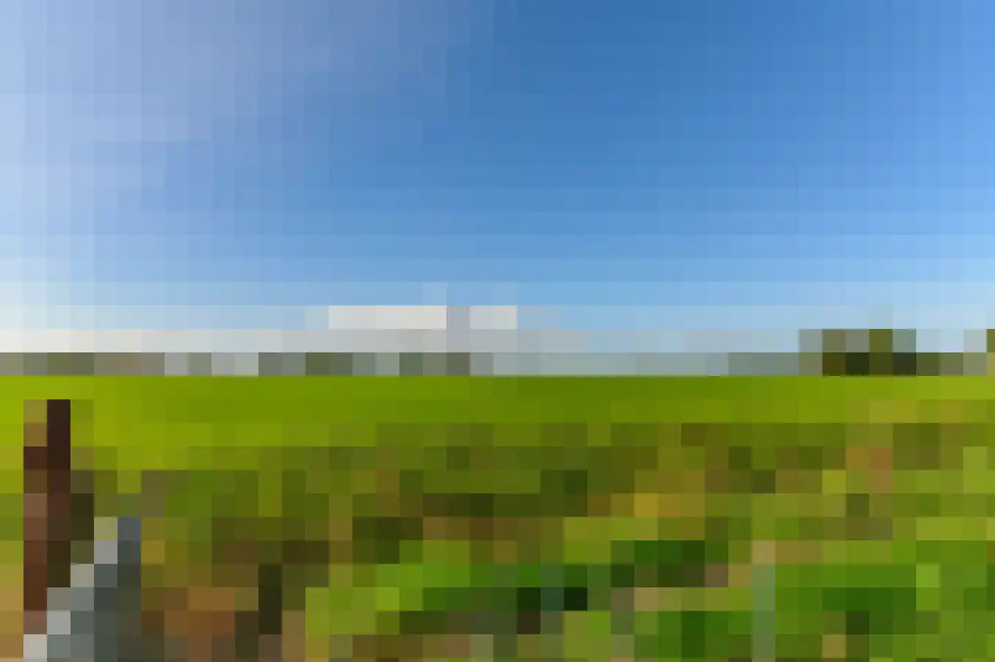 Griene dyk 4 Wirdum thumbnail 21