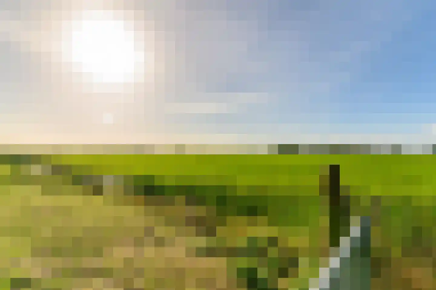 Griene dyk 4 Wirdum thumbnail 22