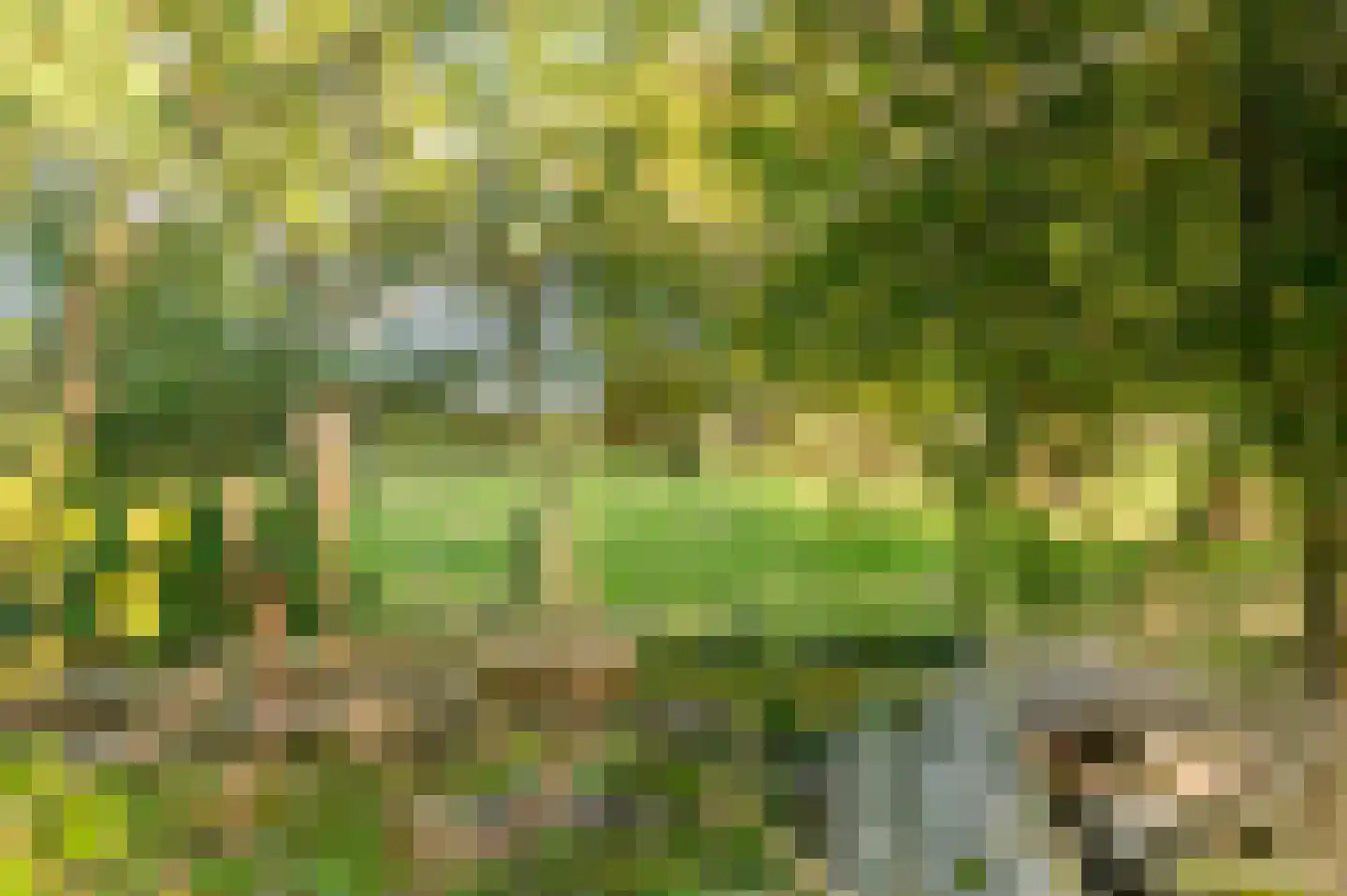 Griene dyk 4 Wirdum thumbnail 24