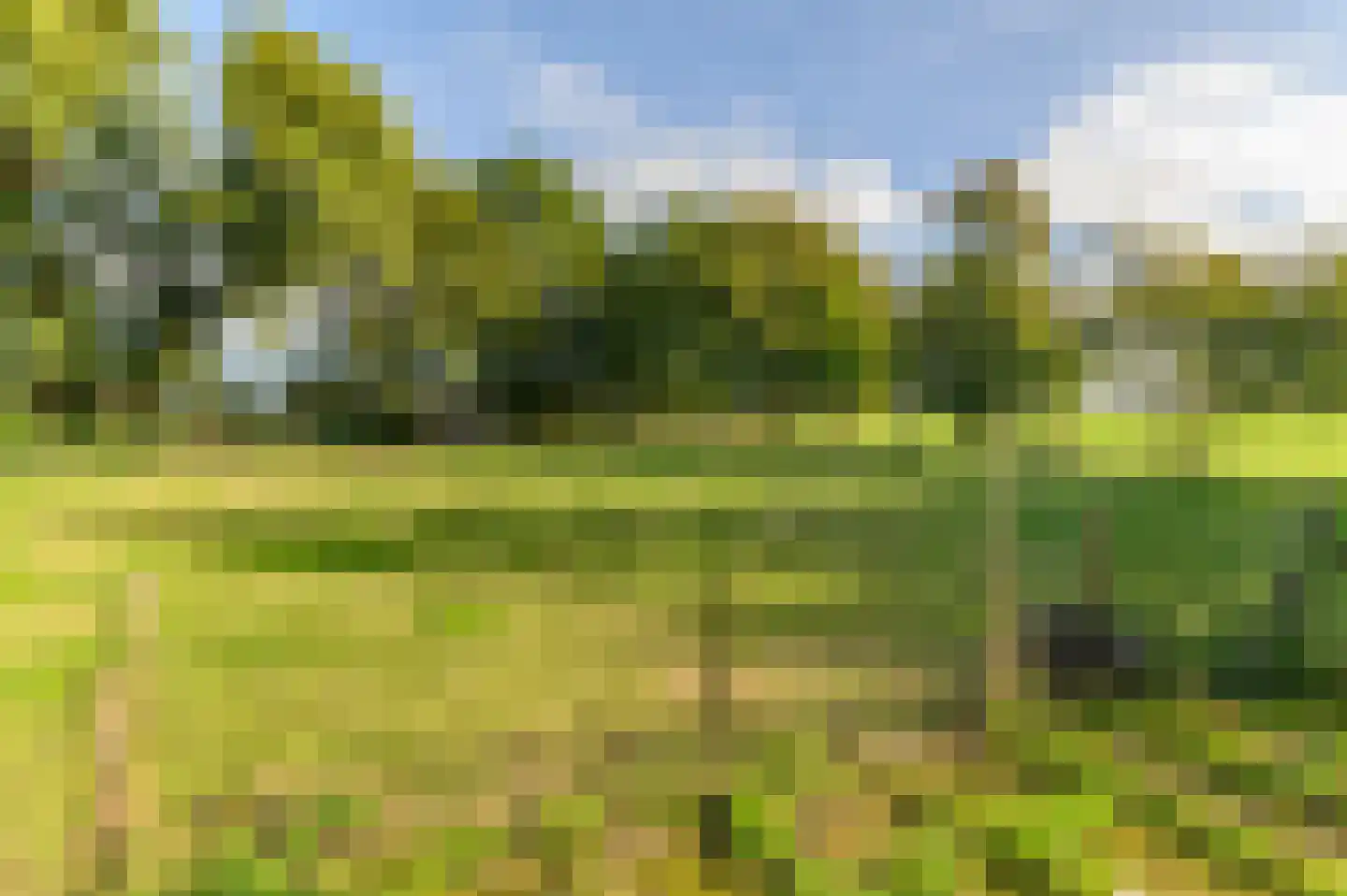 Griene dyk 4 Wirdum thumbnail 26