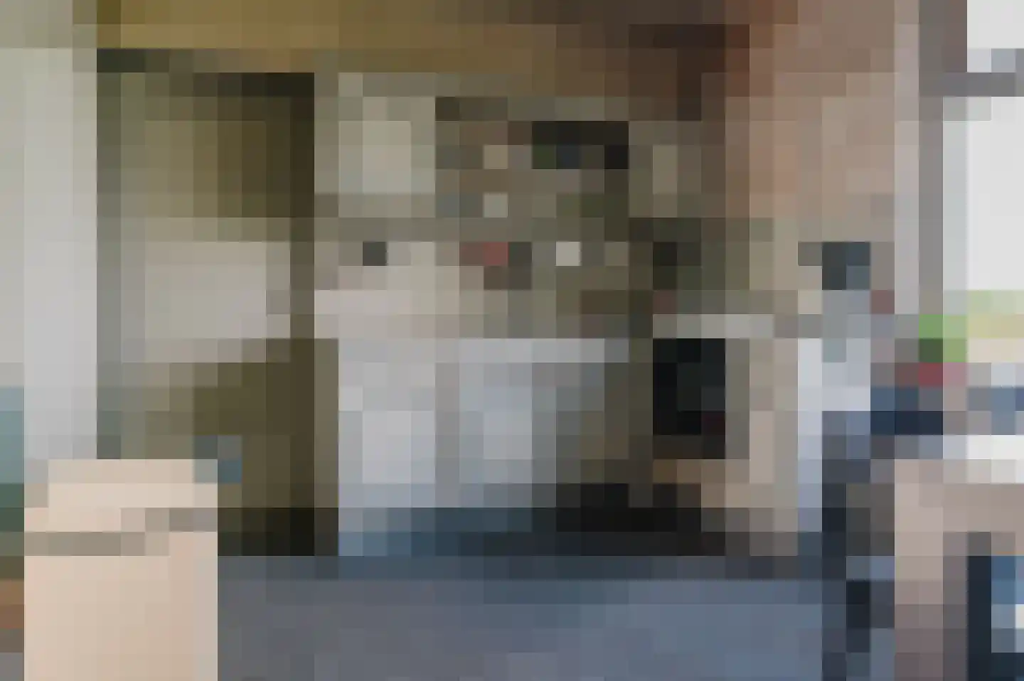 Griene dyk 4 Wirdum thumbnail 31