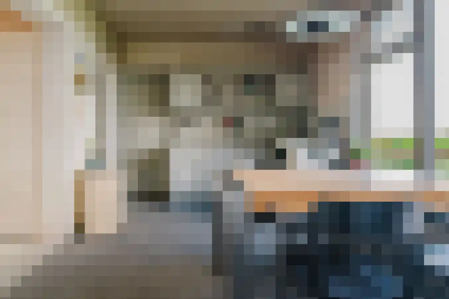 Griene dyk 4 Wirdum thumbnail 33