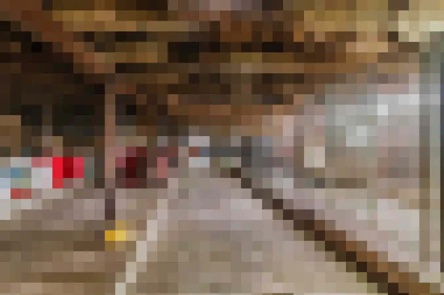 Griene dyk 4 Wirdum thumbnail 44