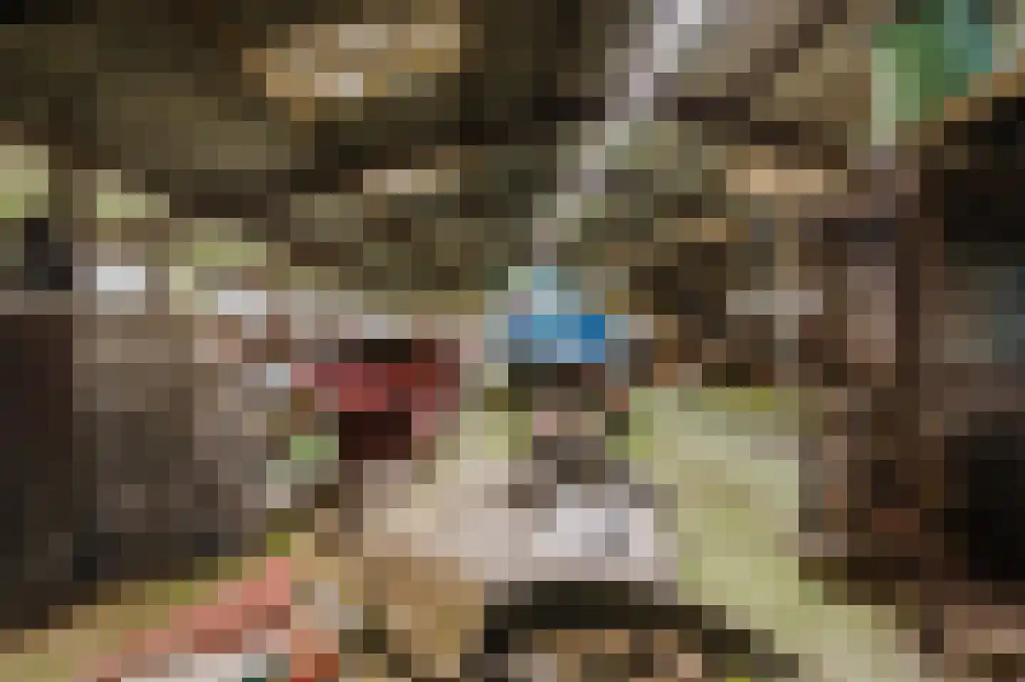 Griene dyk 4 Wirdum thumbnail 45