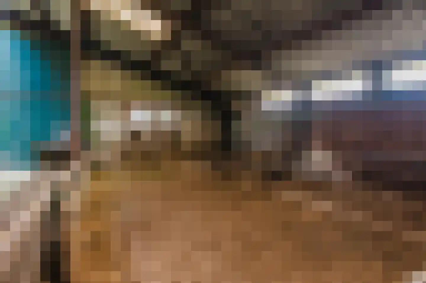 Griene dyk 4 Wirdum thumbnail 46