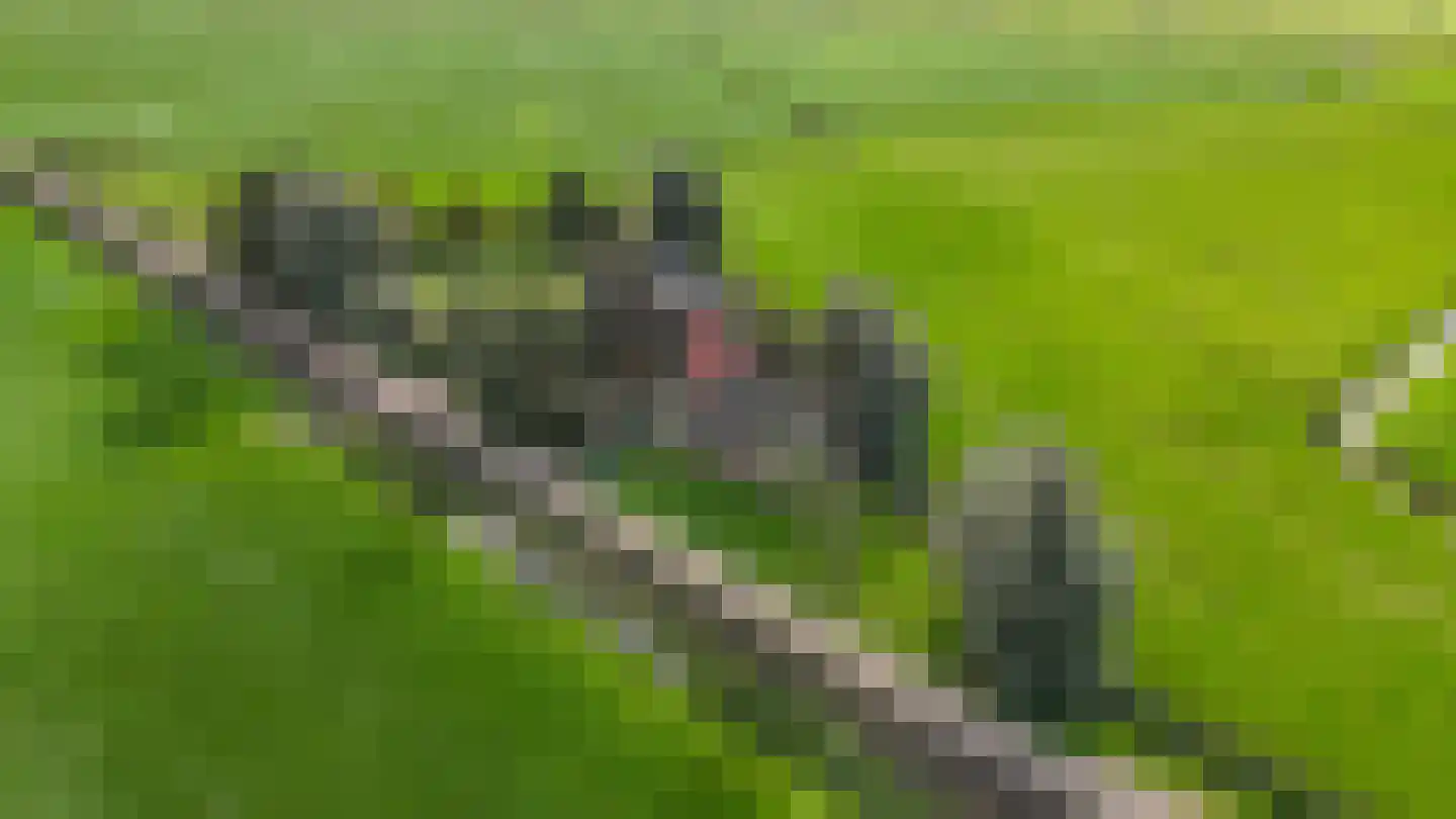 Griene dyk 4 Wirdum thumbnail 47