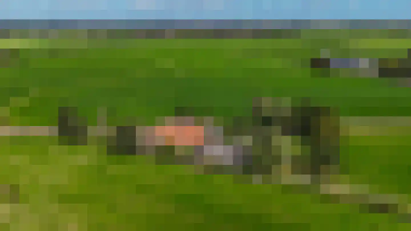 Griene dyk 4 Wirdum thumbnail 48
