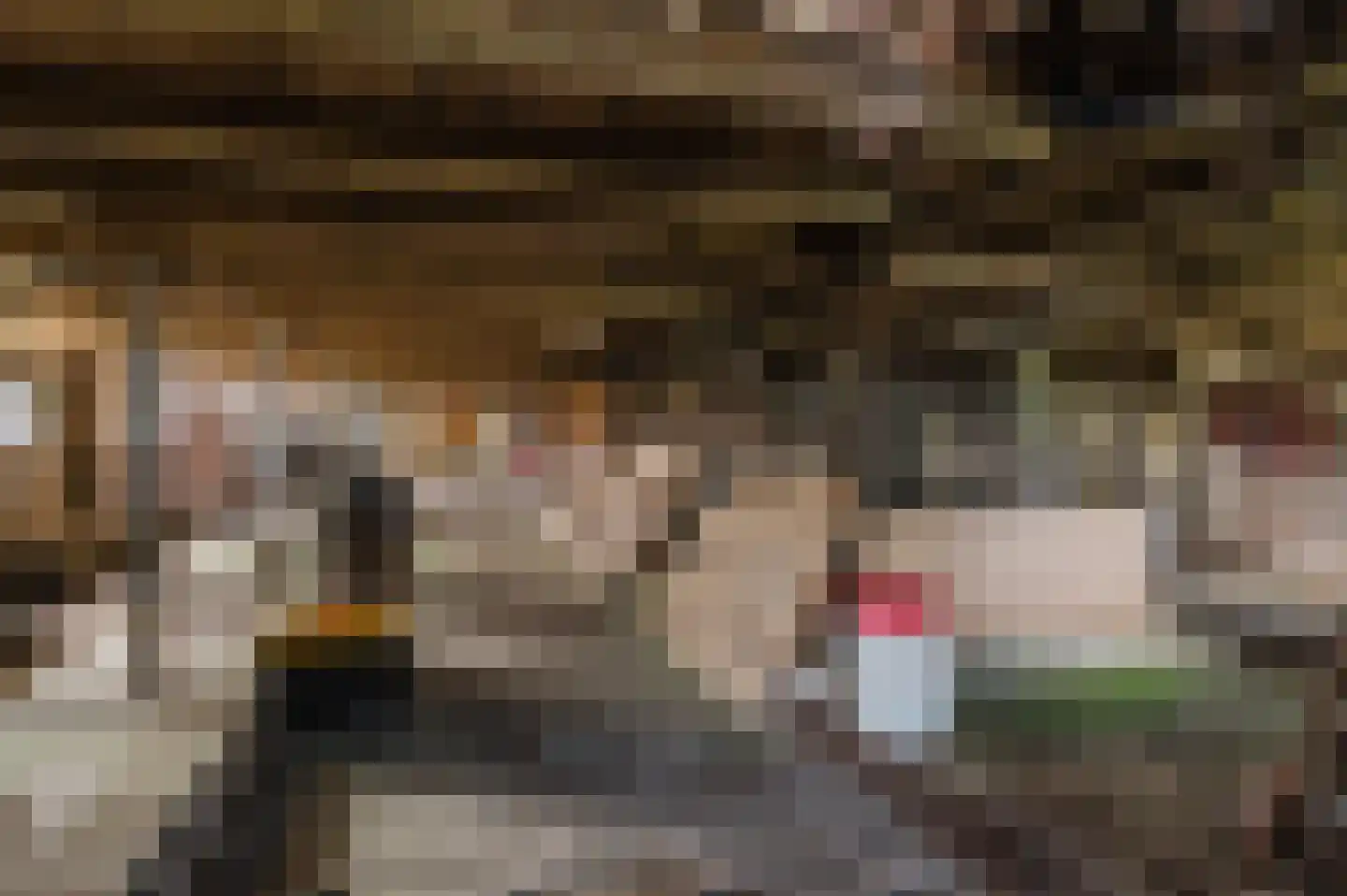 Griene dyk 4 Wirdum thumbnail 7
