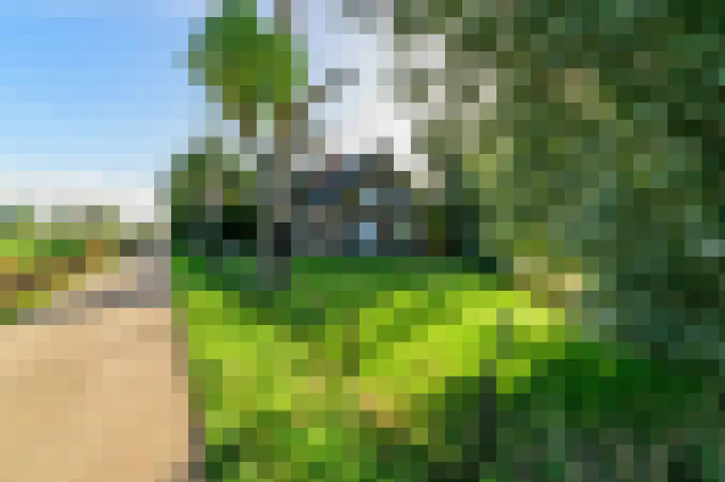 Griene dyk 4 Wirdum thumbnail 9