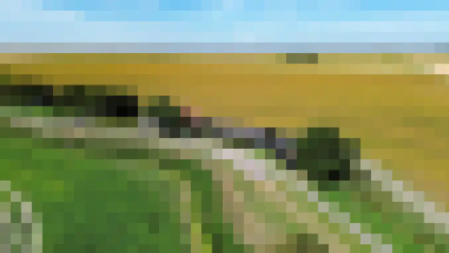 Griene Dyk 7 Firdgum thumbnail 10