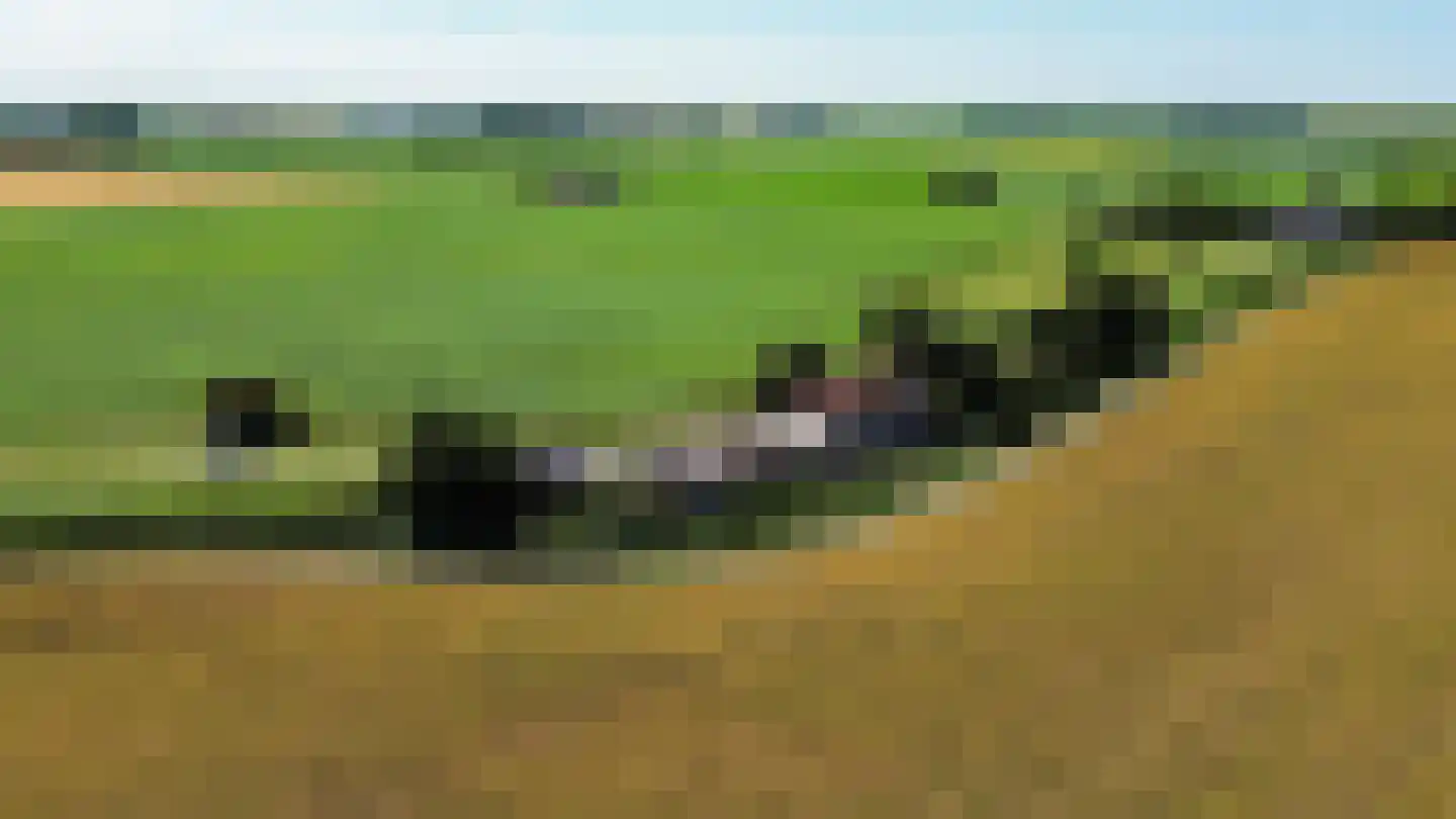 Griene Dyk 7 Firdgum thumbnail 11
