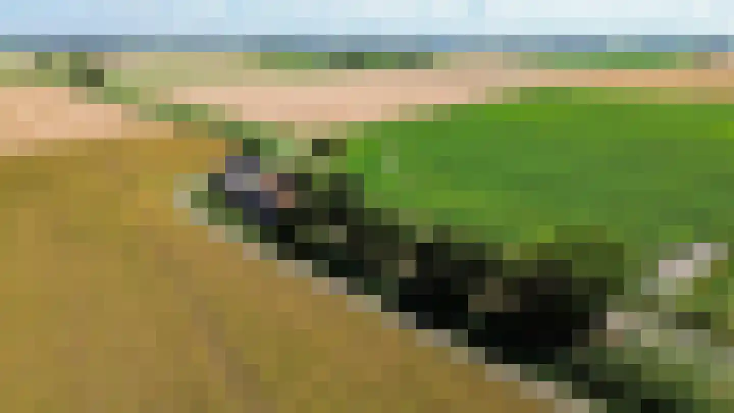 Griene Dyk 7 Firdgum thumbnail 12