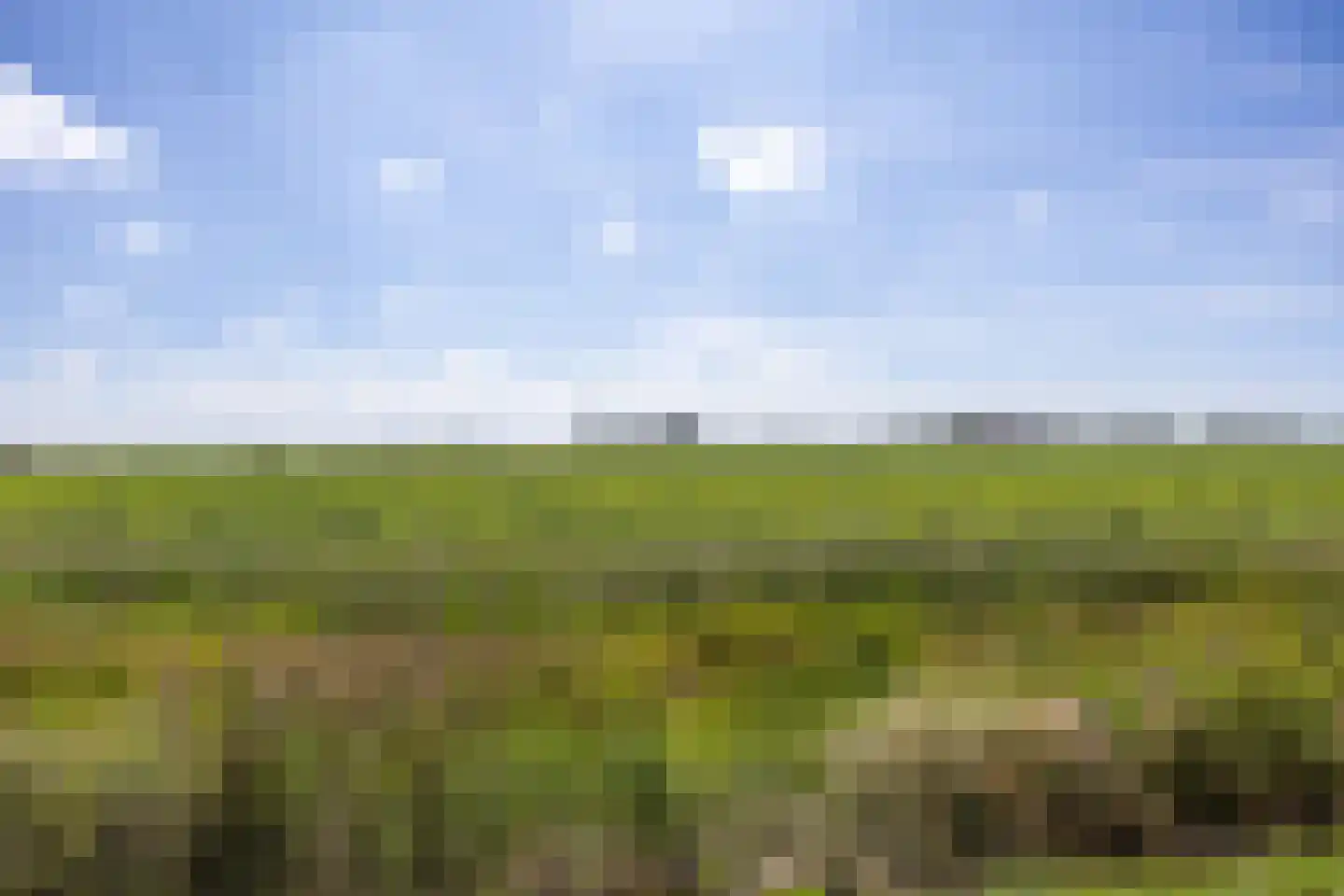 Griene Dyk 7 Firdgum thumbnail 16