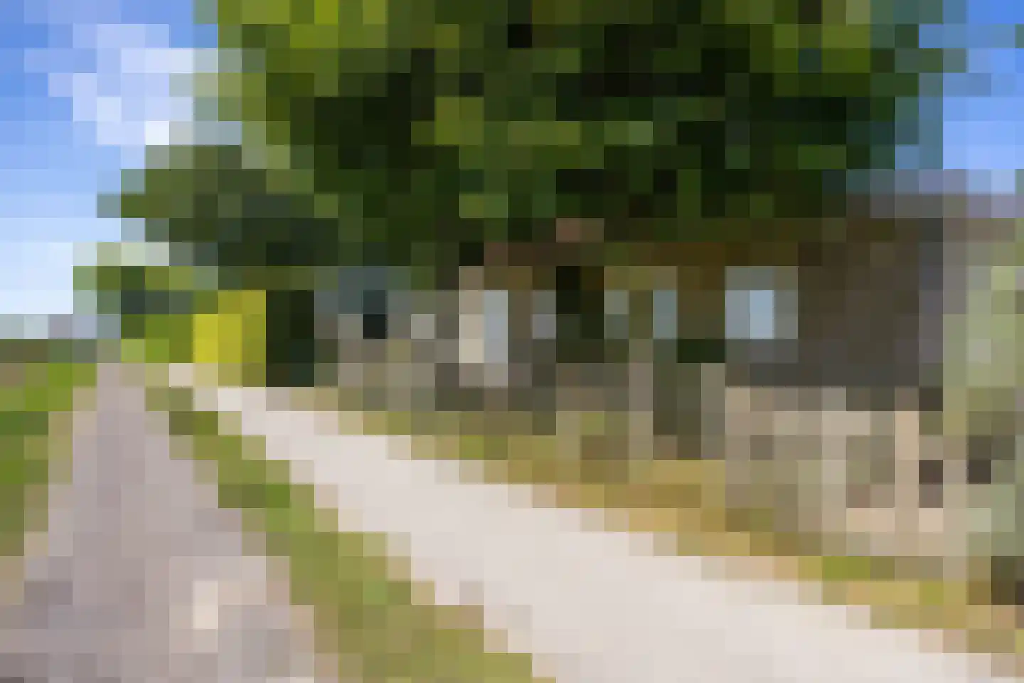 Griene Dyk 7 Firdgum thumbnail 18