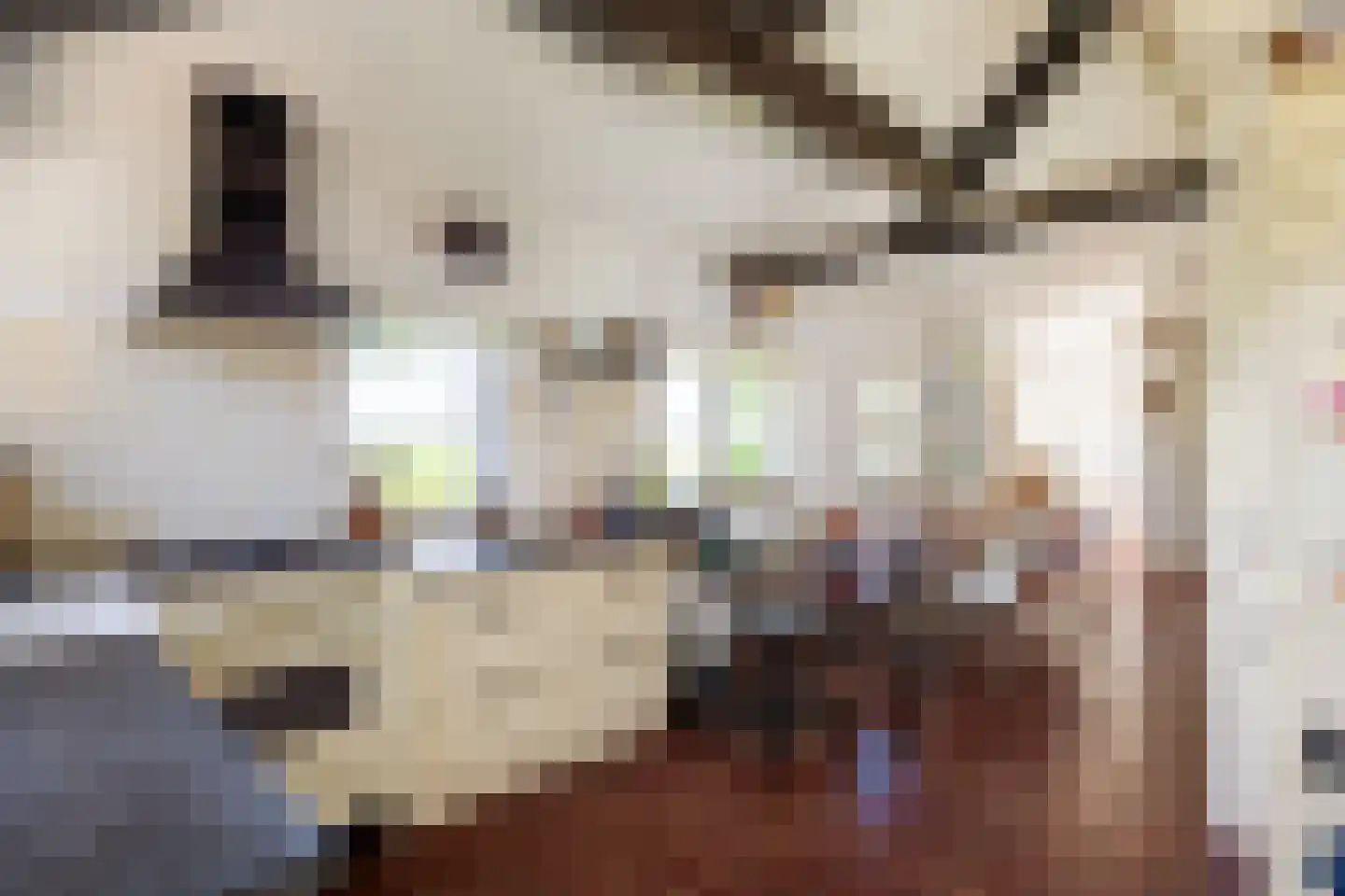Griene Dyk 7 Firdgum thumbnail 4