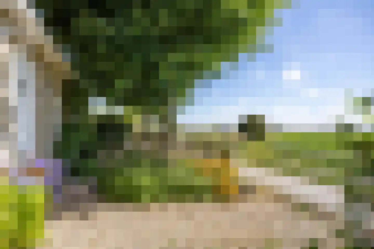 Griene Dyk 7 Firdgum thumbnail 50