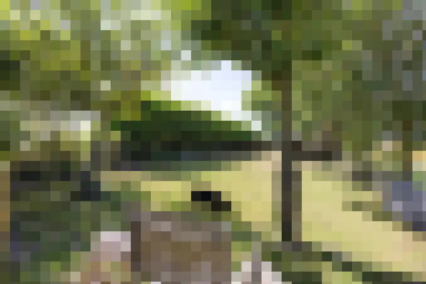 Griene Dyk 7 Firdgum thumbnail 51