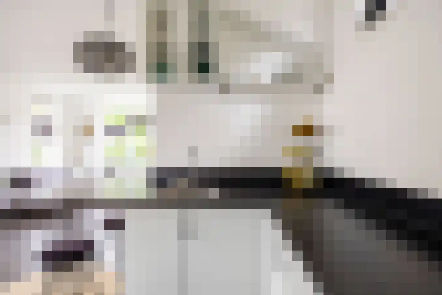 Griene Eker 3 Akkrum thumbnail 15