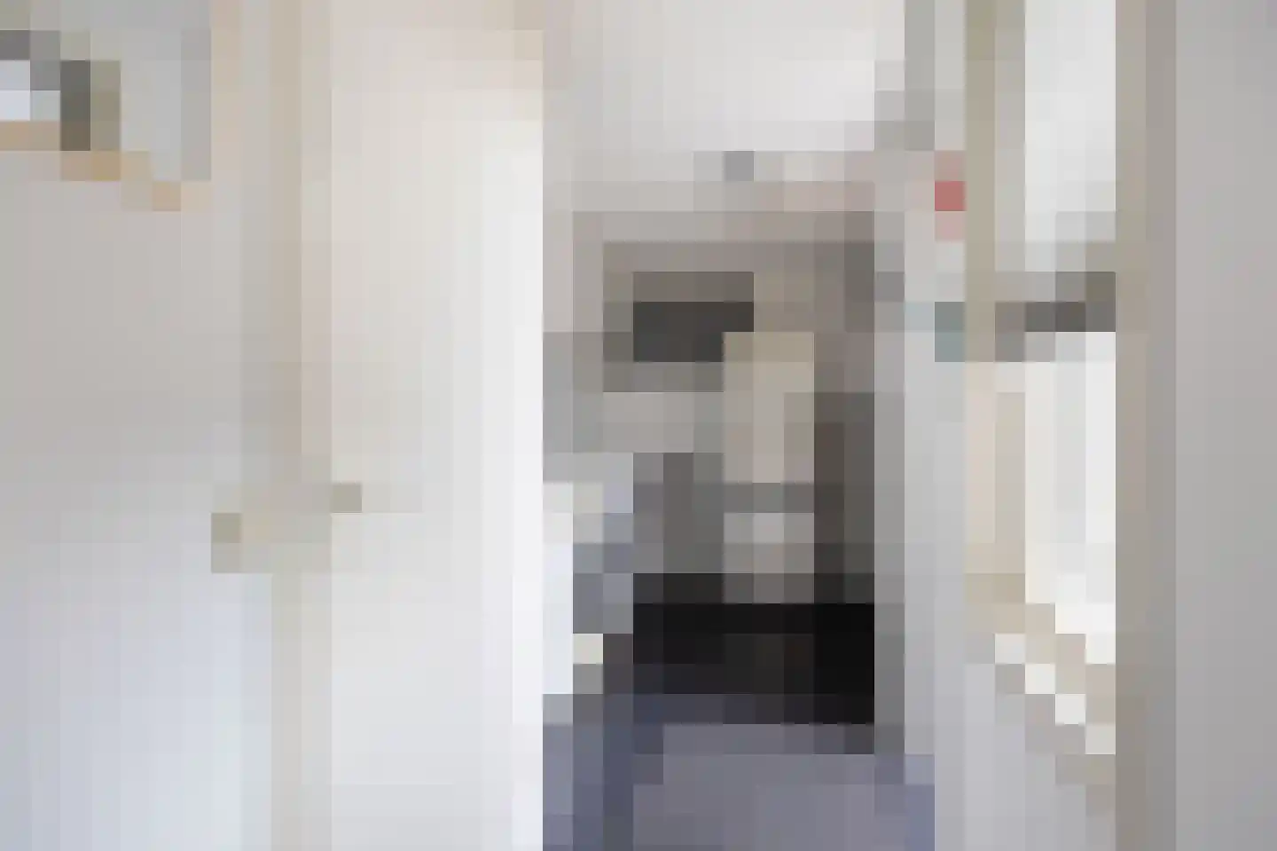 Griene Eker 3 Akkrum thumbnail 16