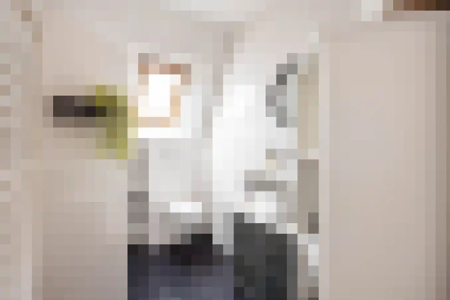 Griene Eker 3 Akkrum thumbnail 19