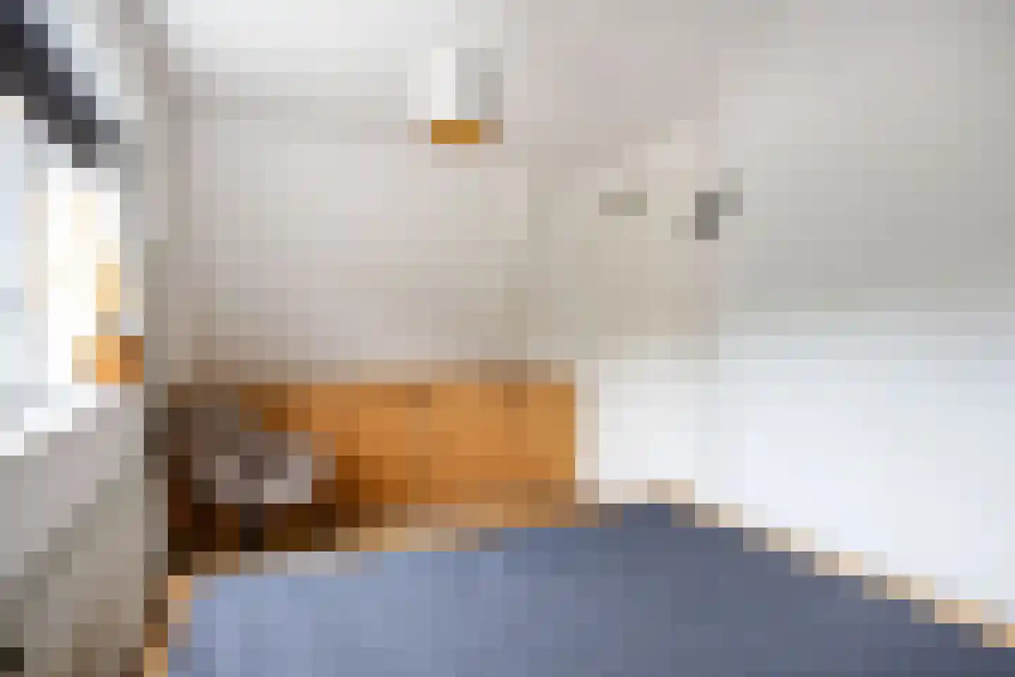 Griene Eker 3 Akkrum thumbnail 23