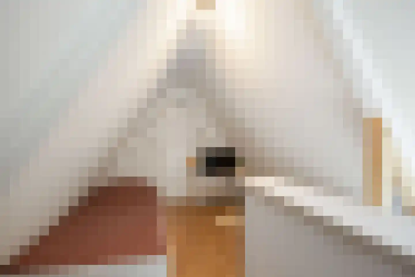 Griene Eker 3 Akkrum thumbnail 29
