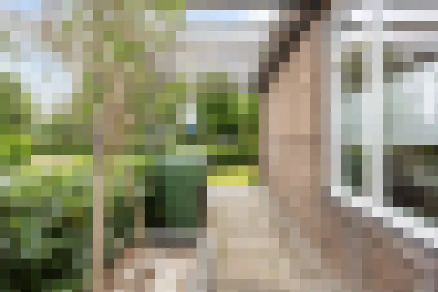 Griene Eker 3 Akkrum thumbnail 33