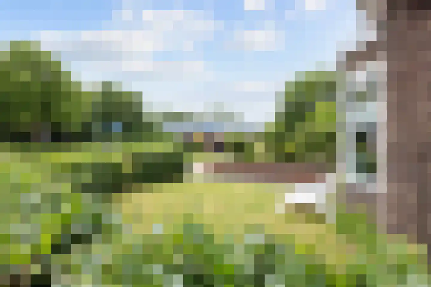 Griene Eker 3 Akkrum thumbnail 34