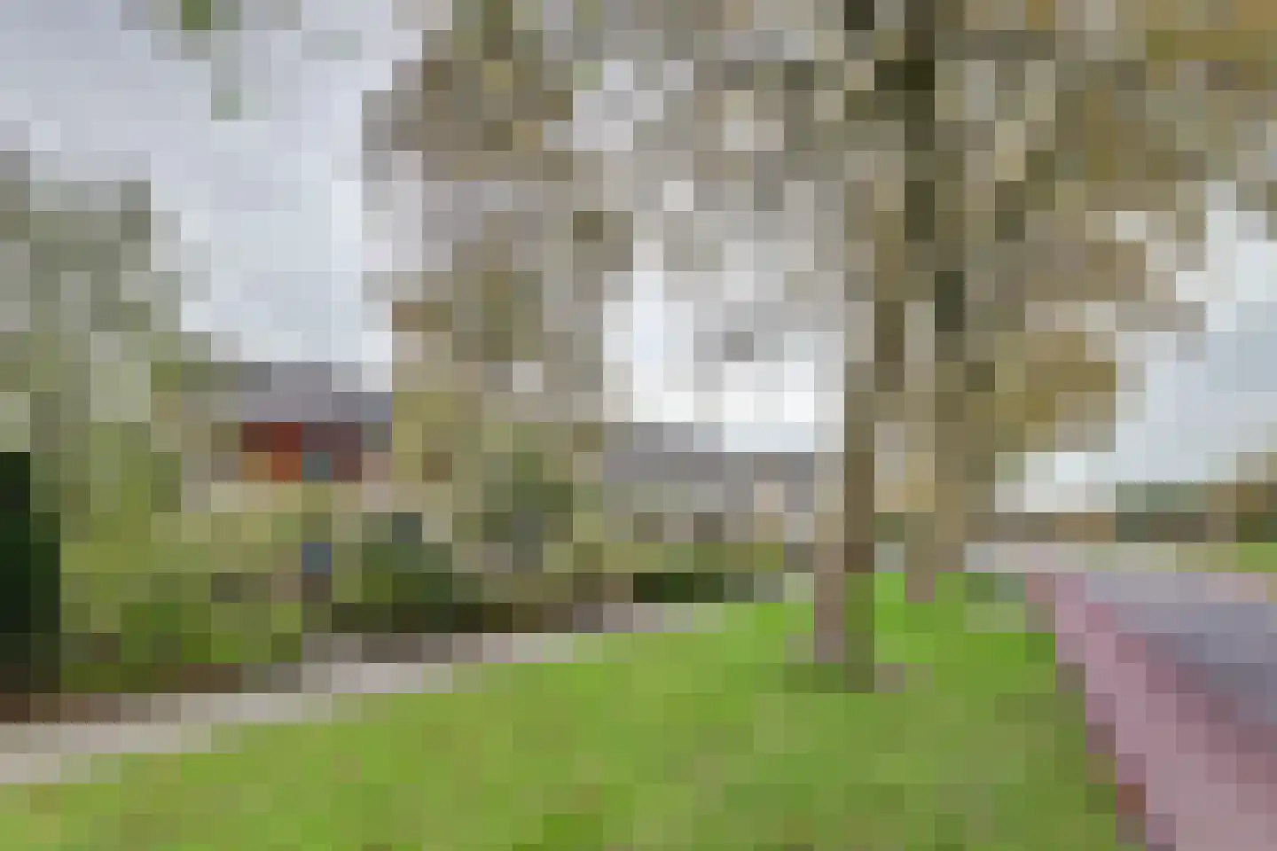 Griene Leane 16 Stiens