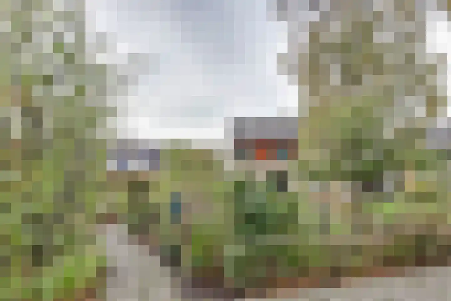 Griene Leane 16 Stiens foto 2