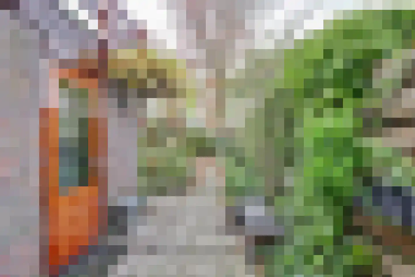 Griene Leane 16 Stiens thumbnail 30