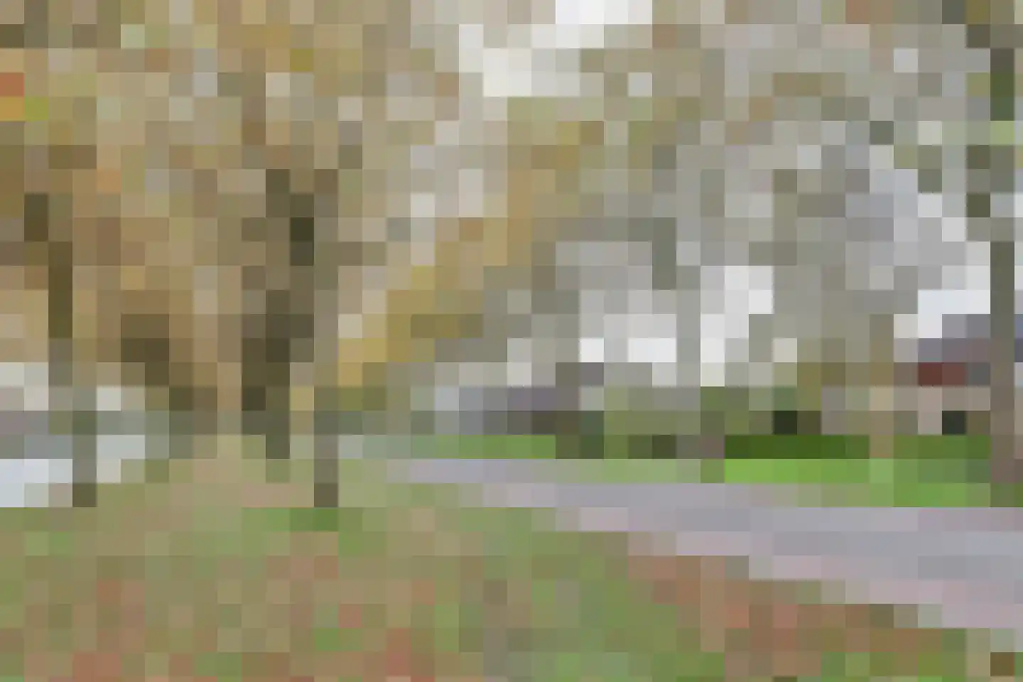 Griene Leane 16 Stiens thumbnail 31