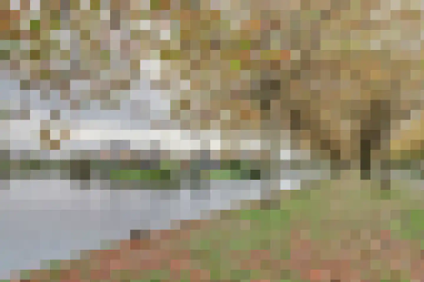 Griene Leane 16 Stiens thumbnail 32