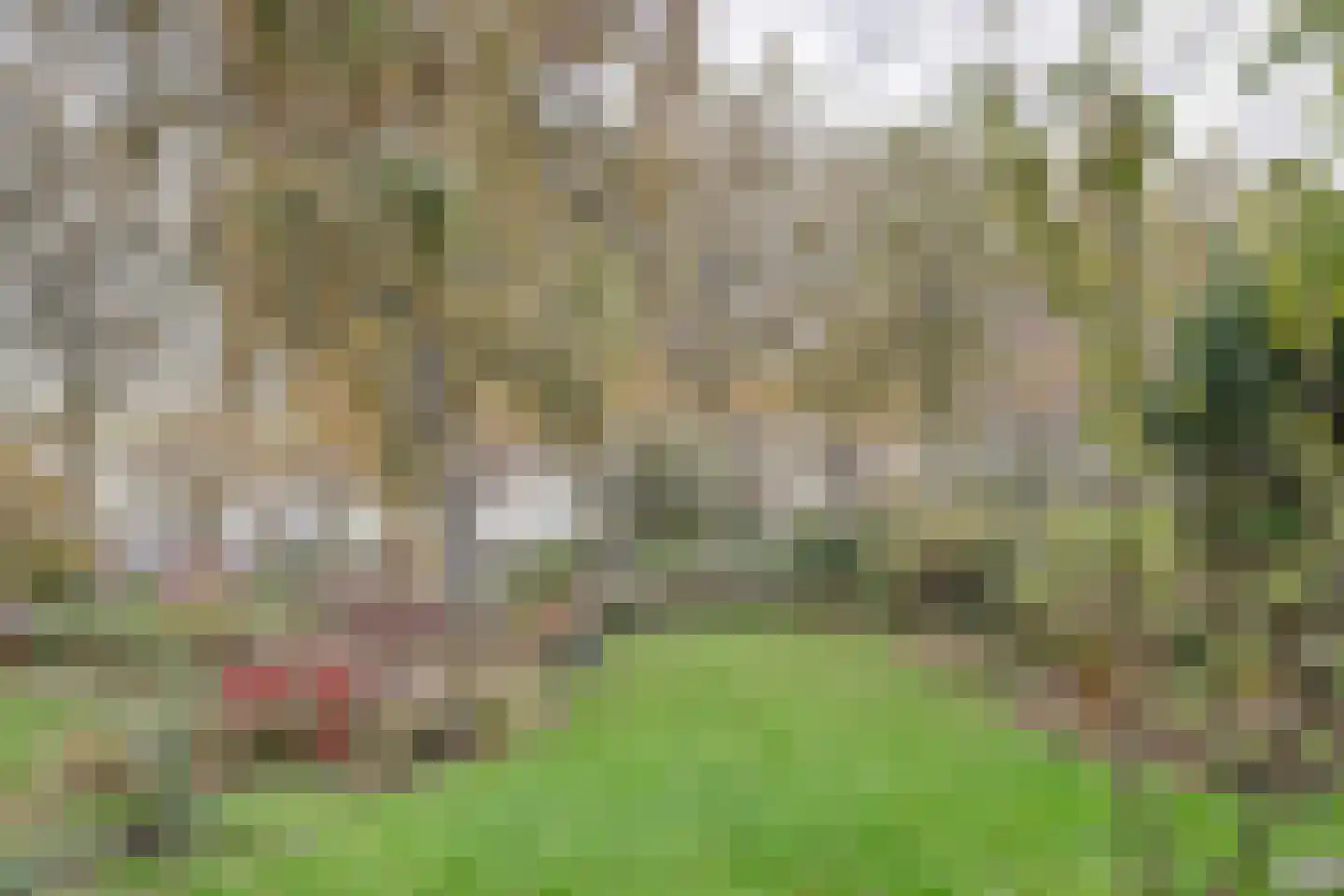 Griene Leane 16 Stiens thumbnail 33