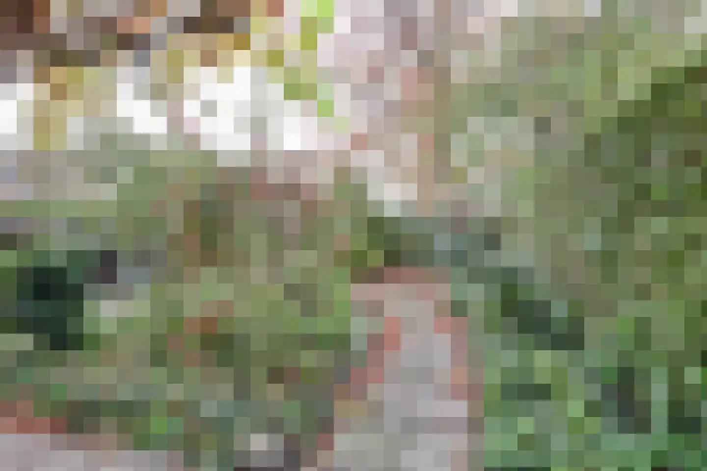 Griene Leane 16 Stiens thumbnail 34