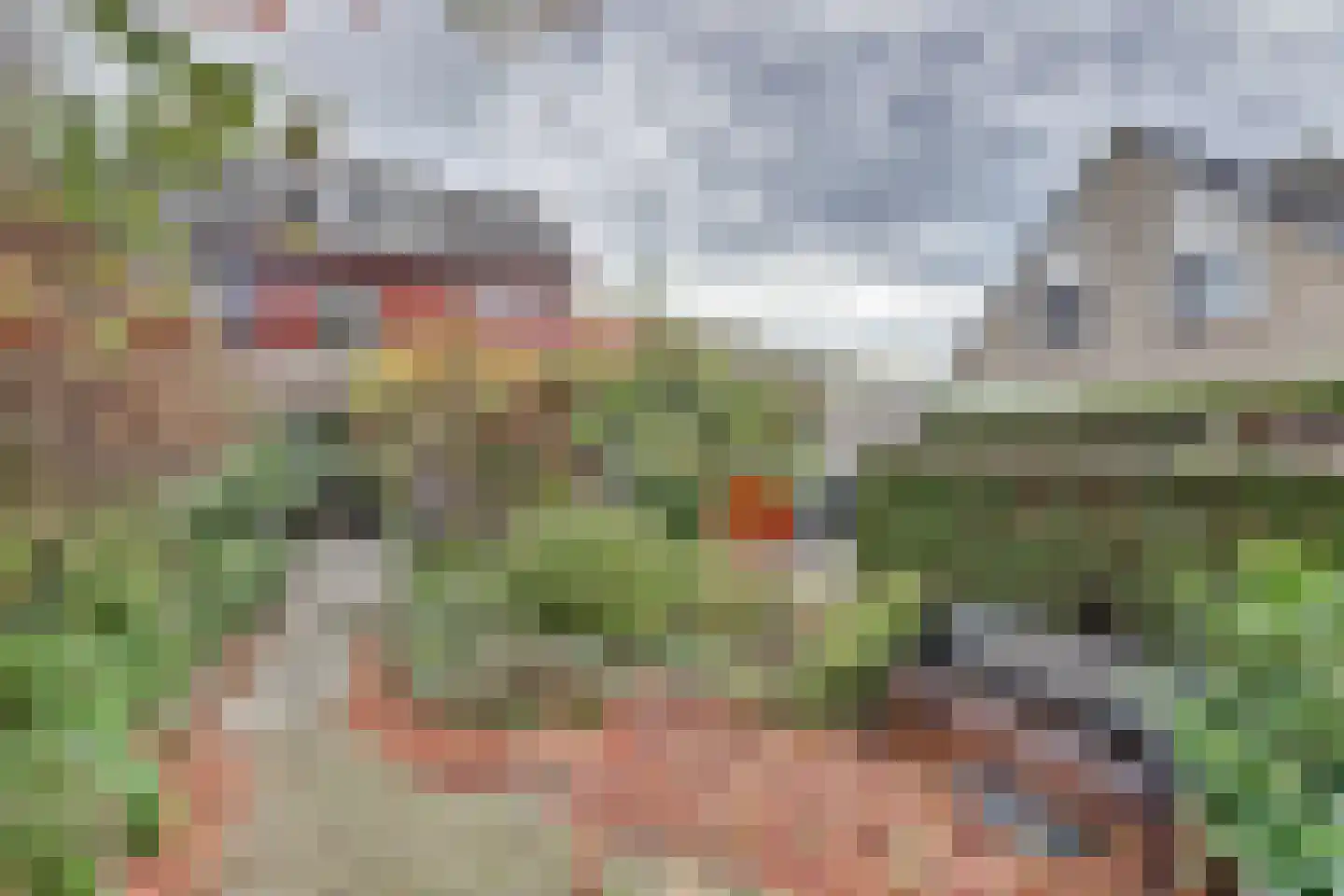 Griene Leane 16 Stiens thumbnail 35