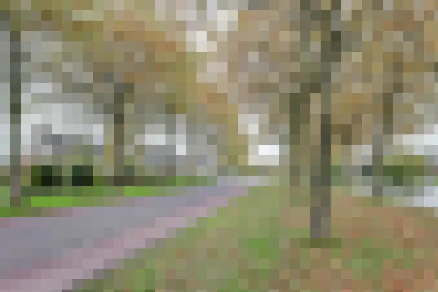 Griene Leane 16 Stiens thumbnail 36