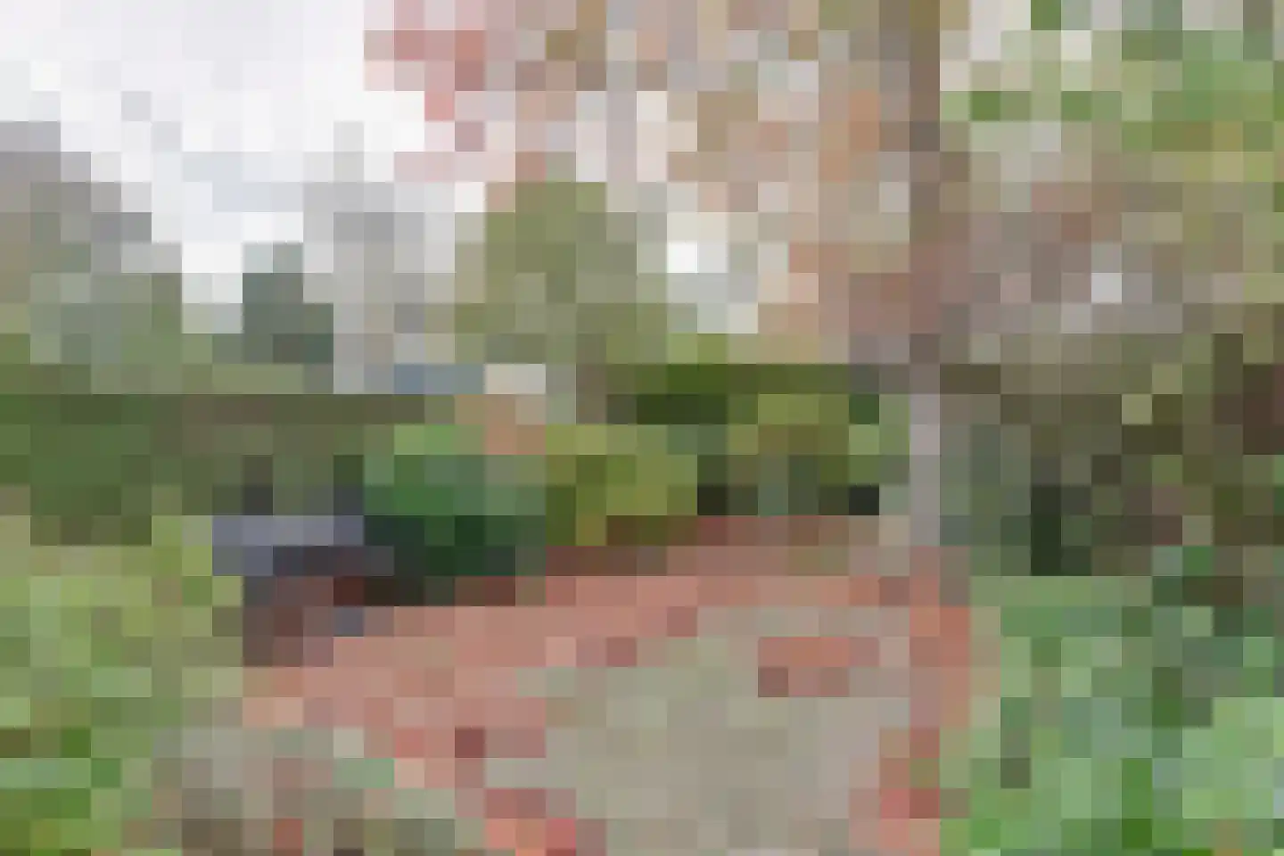 Griene Leane 16 Stiens thumbnail 38