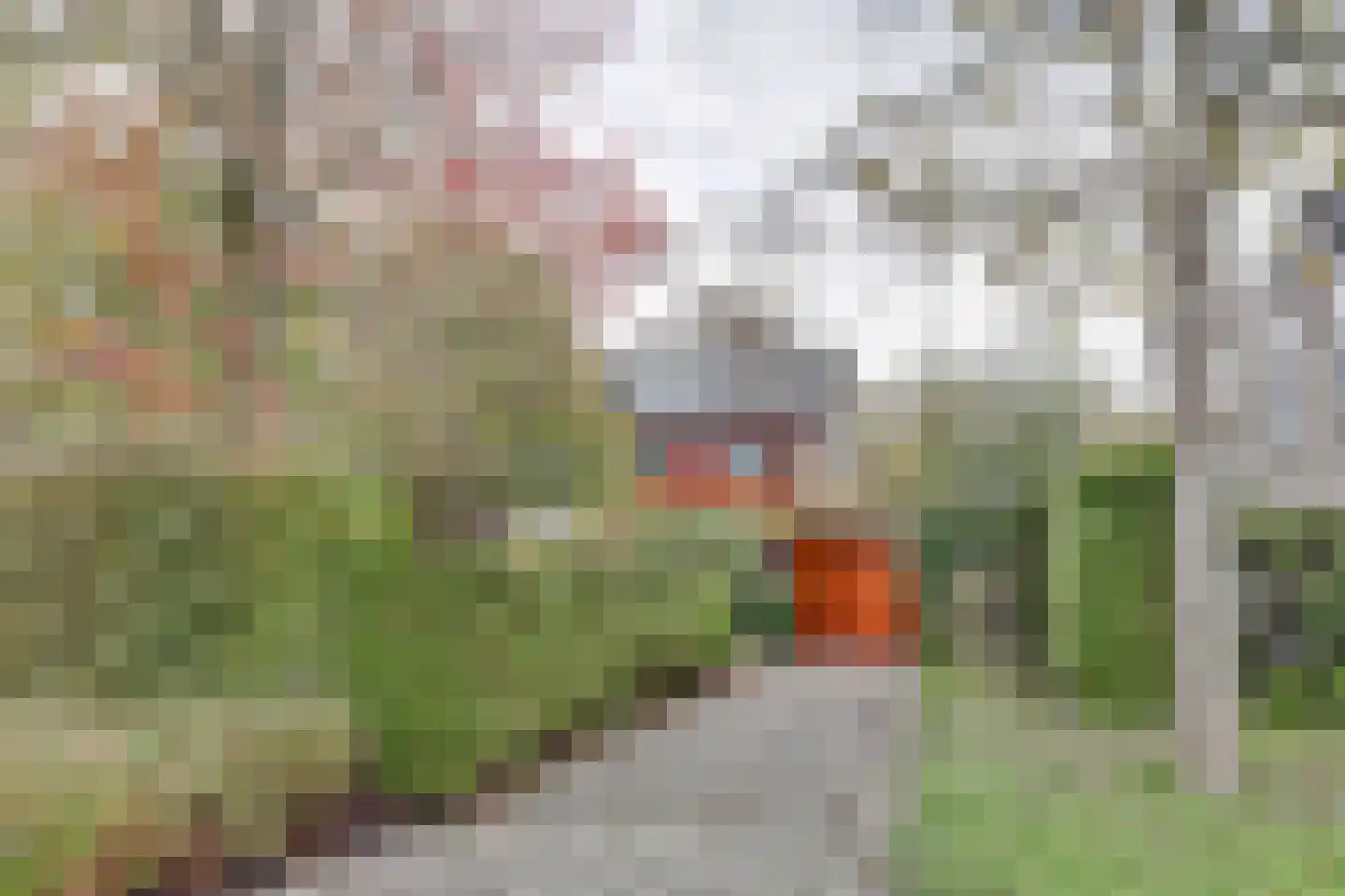 Griene Leane 16 Stiens thumbnail 39
