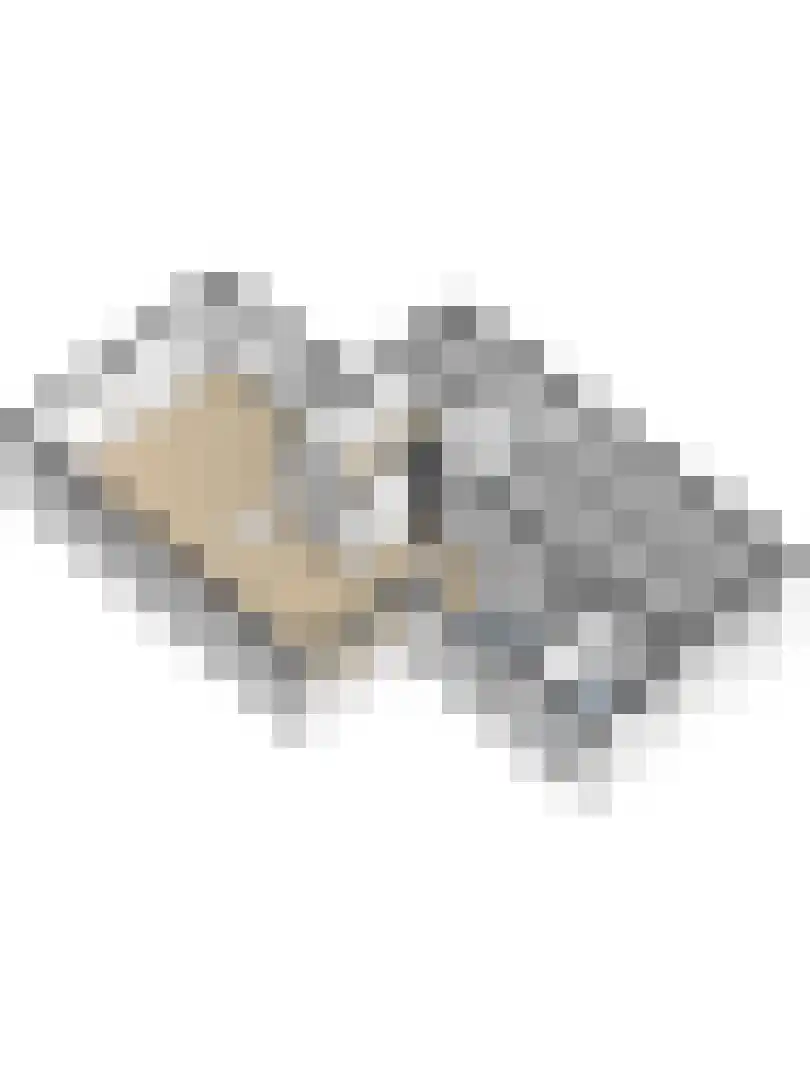 Griene Leane 16 Stiens thumbnail 43