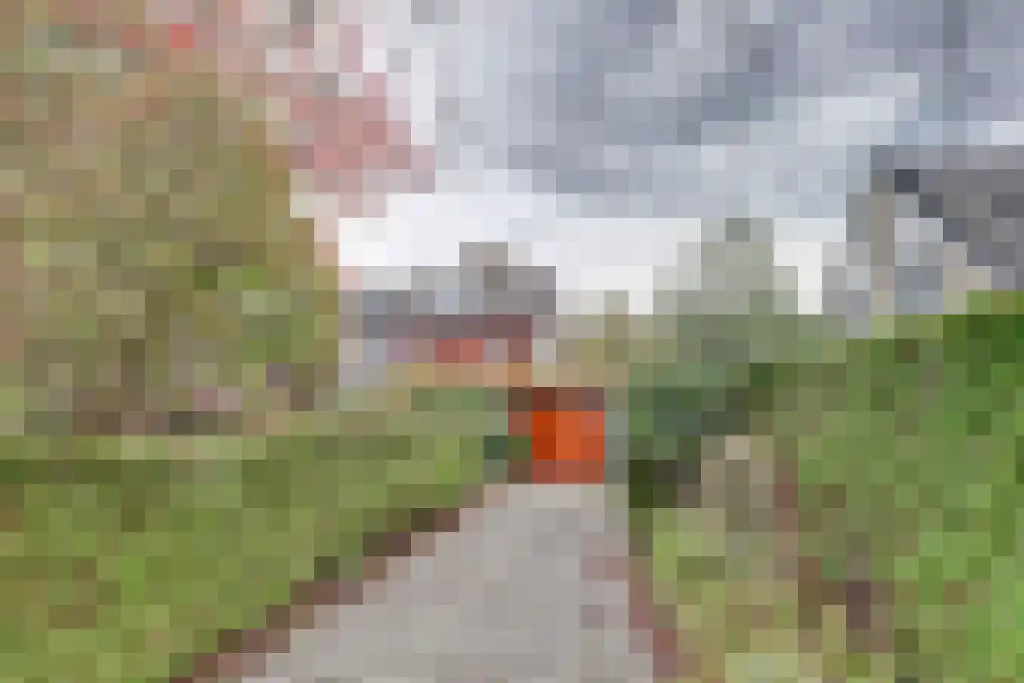 Griene Leane 16 Stiens thumbnail 5