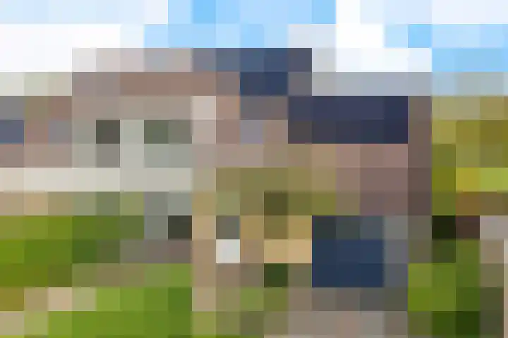 Griene Leane 34 Stiens foto 3