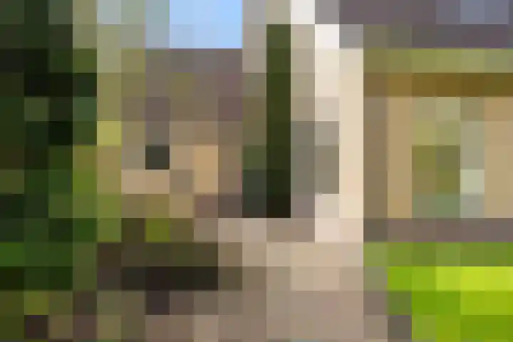 Griene Leane 34 Stiens thumbnail 31