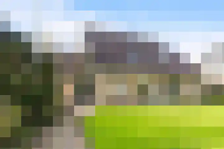 Griene Leane 34 Stiens thumbnail 32