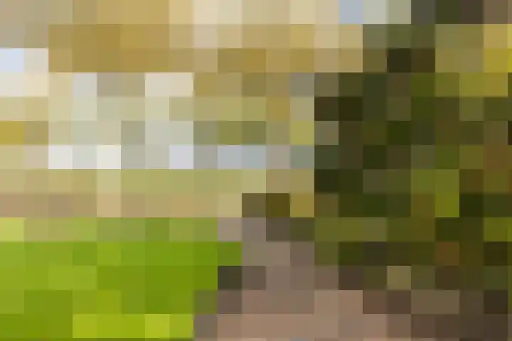 Griene Leane 34 Stiens thumbnail 34