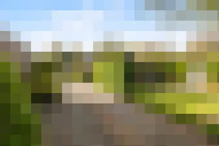 Griene Leane 34 Stiens thumbnail 35