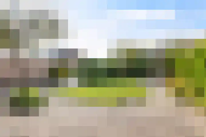 Griene Leane 34 Stiens thumbnail 36
