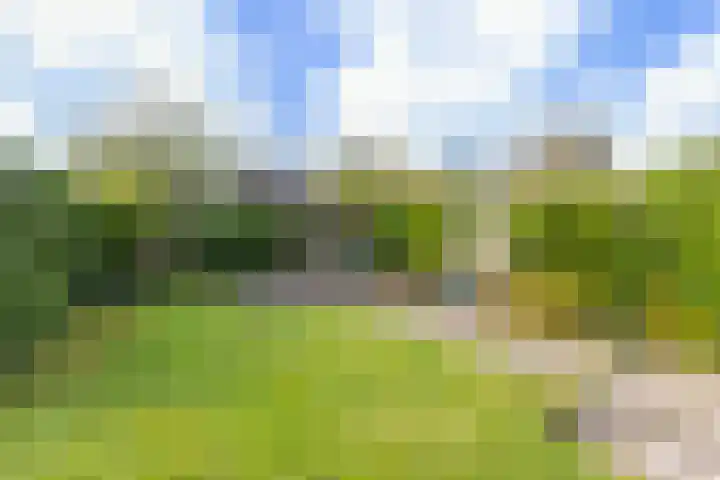 Griene Leane 34 Stiens thumbnail 37