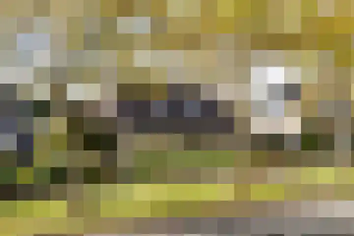 Griene Leane 34 Stiens thumbnail 40