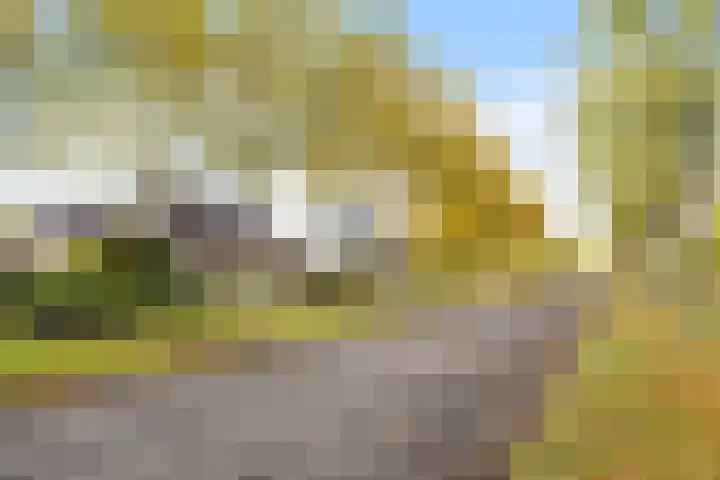 Griene Leane 34 Stiens thumbnail 41